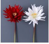 Hanfu ancient costume photo props household living room ornaments single branch big epiphyllum