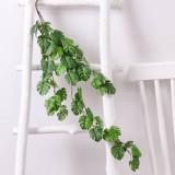 The green plant wall hangs adornment simulates the plant turtleback leaf rattan