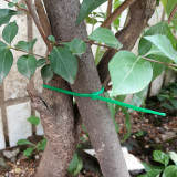 Fixed Plant Cable Tie Garden Plastic Self-locking Buckle Cable 30cm Green Nylon Cable Tie