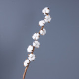 Handheld home decor bottle flower simulation of a single long stem natural cotton dried flowers