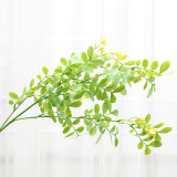 Home decoration green plant shooting props simulation leaves soft plastic locust leaves