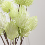 Emulation of green plant Damaodan fruit EVA soft plastic artificial flower INS Nordic style home decoration photography