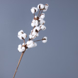 Handheld home decor bottle flower simulation of a single long stem natural cotton dried flowers