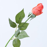 Spot Wholesale Artificial Flower Multicolor Artificial Feel Moisturizing Rose Decoration For Wedding
