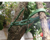 30 Pcs Fishbone Spur Green Landscape Reusable Garden Plastic Plant Belt Ties Garden Fishbone Band Tools