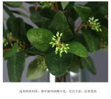 Eucalypto wedding home decoration bottle flower simulation with fruit wholesale manufacturers