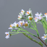 American garden simulation flower 5 petals full star hotel home decoration simulation flower