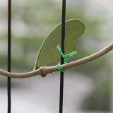 Good Quality Garden Twist Tie Kitchen Bag Gardening Plant Green Twist Tie Wire Roll With Wire Cutter 20/30/50M