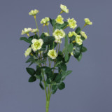 Holding wedding photography simulation of a small rose home to bouquet of Chinese rose
