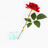 Floral Water Tube Fresh Flower Rose Pick Wedding Party Gift With Cap For Wedding Event Arts Crafts Artificial Flowers