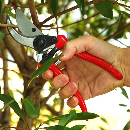 Gardening Hand Pruning Shears Grafting Scissors Pruning Tools