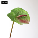 Eva pink small size simulation flower plant potted large anthurium