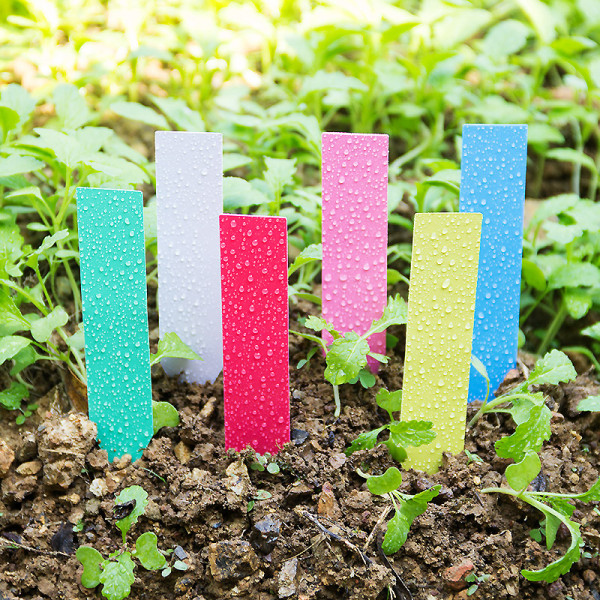 Gardening Tag PVC Plant Label Flower Mark Card Meat Identification Sign Garden Tool Supplies