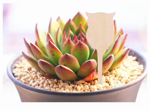 Garden Decorative Marker Seed Plant Label Flower Plant Tags Wooden Plant Labels Sticks