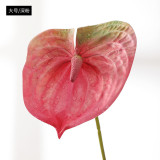 Eva pink small size simulation flower plant potted large anthurium