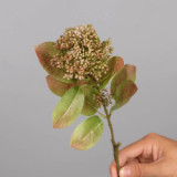 With fruit false leaves home furnishings green plant simulation succulent coral fruit