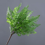 A bunch of fern leaves, fishtail pine, ginkgo, wedding ornaments, home decoration, indoor artificial plants