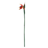 Simulation plant bonsai floor decoration PVC handle plastic bird of paradise