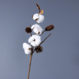 Handheld home decor bottle flower simulation of a single long stem natural cotton dried flowers