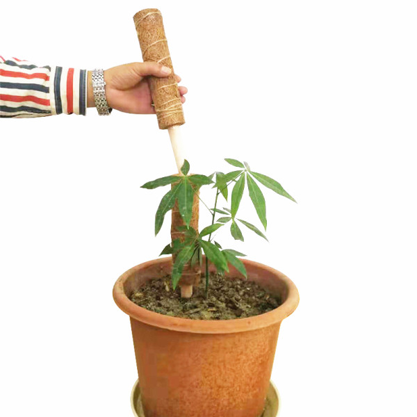 Plant Climbing Green Dill Partner Coconut Palm Stick Gardening Pillar Pvc Inner Core Can Be Extended