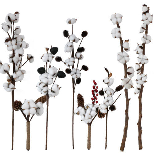 Handheld home decor bottle flower simulation of a single long stem natural cotton dried flowers