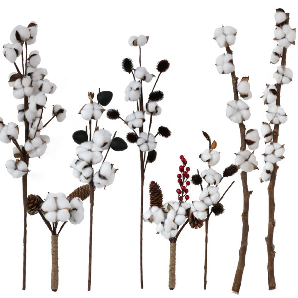 Handheld home decor bottle flower simulation of a single long stem natural cotton dried flowers