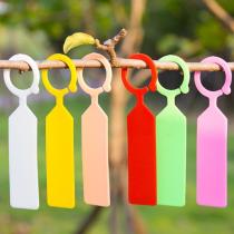 100PCS Garden Plastic Bonsai Planter Nursery Garden Hanging Tag Plant Markers Notice Plate Seedlings Labels Home