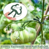 Green Gardening Plant Flower Lever Loop Gripper Clips For Supporting Or Straightening Plant Stems Stalks And Vines