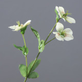 Simulation 3D Christmas rose small single branch African desert flower home wedding artificial flower manufacturers wholesale