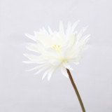 Home decoration wedding hall layout arch road lead decorative flower simulation flower long branch Epiphyllum