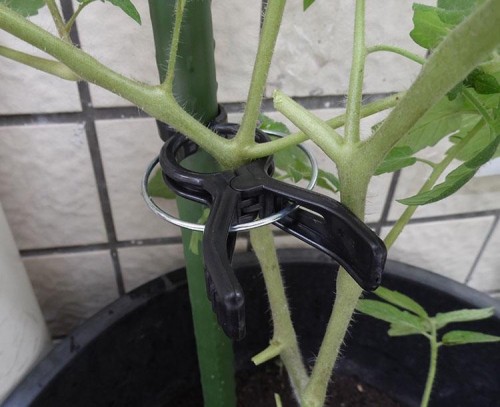 Plastic Garden Plant Tomato Spring Support Clips