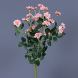 Holding wedding photography simulation of a small rose home to bouquet of Chinese rose