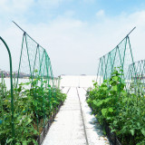 Household creeper net gardening net supported by plants