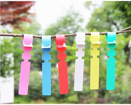 Supply of special ring set labels for flower seedlings ring set labels for seedlings ring set gardening labels