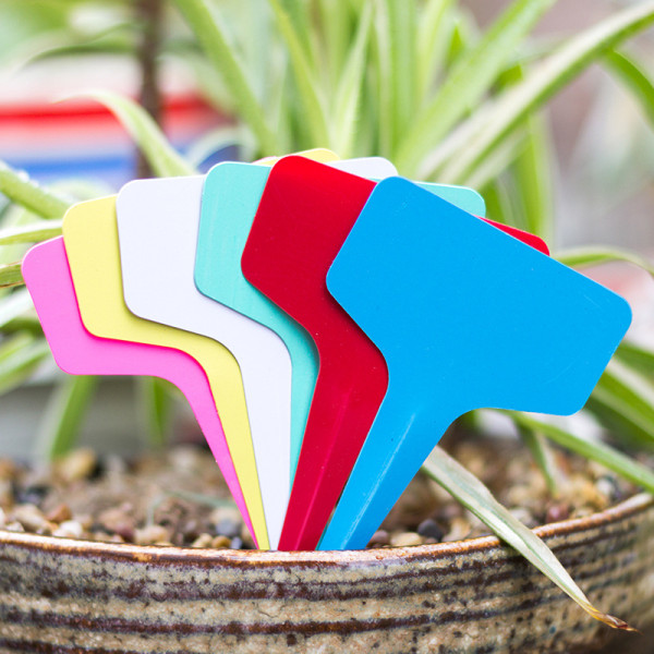 Gardening Flower Plant Labels Succulent Plastic Labels For Amazon Flower Brand Gardening Labels