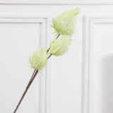 Emulation of green plant Damaodan fruit EVA soft plastic artificial flower INS Nordic style home decoration photography