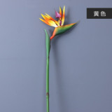 Simulation plant bonsai floor decoration PVC handle plastic bird of paradise