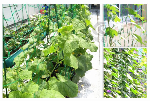 Household creeper net gardening net supported by plants