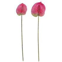Eva pink small size simulation flower plant potted large anthurium