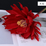 Hanfu ancient costume photo props household living room ornaments single branch big epiphyllum