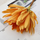 2021 Direct Selling Lifelike Simulated Epiphyllum Long-branch Artificial Flowers For Decoration