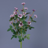 Holding wedding photography simulation of a small rose home to bouquet of Chinese rose