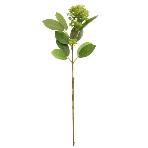With fruit false leaves home furnishings green plant simulation succulent coral fruit