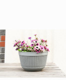 Creative Imitation Rattan Eco-Friendly Plastic Plant Pots Wall Hanging Balcony Pot