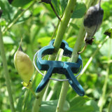 Cheap Price Plant Support Clips For Garden