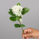 With fruit false leaves home furnishings green plant simulation succulent coral fruit