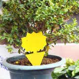 Insect traps sticky for horticulture vegetables cartoon shape sticky fly traps