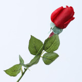 Spot Wholesale Artificial Flower Multicolor Artificial Feel Moisturizing Rose Decoration For Wedding