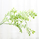 Home decoration green plant shooting props simulation leaves soft plastic locust leaves