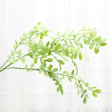 Home decoration green plant shooting props simulation leaves soft plastic locust leaves